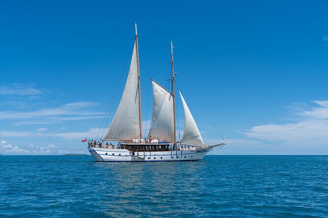 Whale's Tale Day Cruise from Port Denarau - The boat ride: sailing time that doesn’t feel rushed